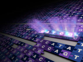 Researchers generate the first complete, gapless sequence of a human genome