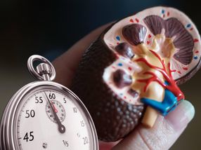 New Charité spin-off aims to detect acute kidney injury ten times faster