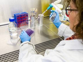 Herpes virus to be weaponized to fight cancer