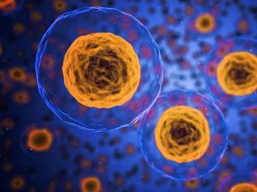 mk2 Biotechnologies, WACKER and TUM jointly develop a process for the large-scale production of antimicrobial peptides based on sustainable fermentation