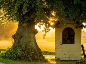 Building Block for a Longer Life