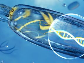 Tapping the ocean as a source of natural products