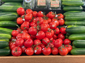 Scientists are running outdoor field trials this summer to test a gene-edited tomato variety that could provide a new dietary source of vitamin D.