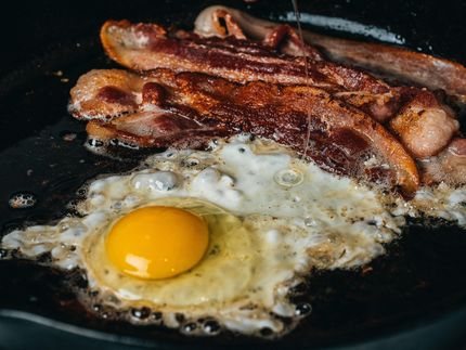 Long term high-fat diet expands waistline and shrinks brain