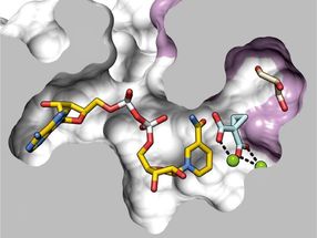Active centre of the enzyme BurG, which forms a highly reactive chemical compound that plays a crucial role in melioidosis.
