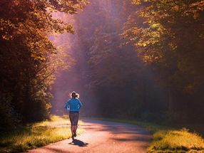Physical activity stimulates the generation of new heart muscle cells in aged mice