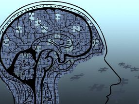 Study identifies new dementia risk genes through novel testing approach