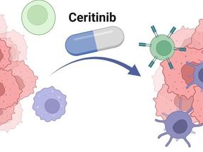 Therapeutic drug renders cancer cell weapon harmless
