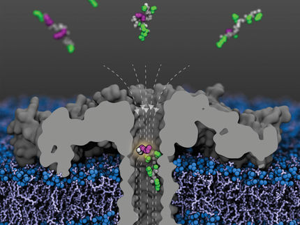 Using nanopores to detect epigenetic changes faster