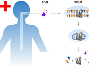 New Detergents for Drug Research
