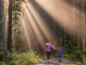 How does nature nurture the brain?
