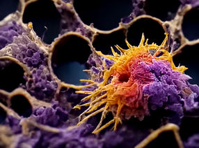 Researchers turn cancer cells into less harmful cell types