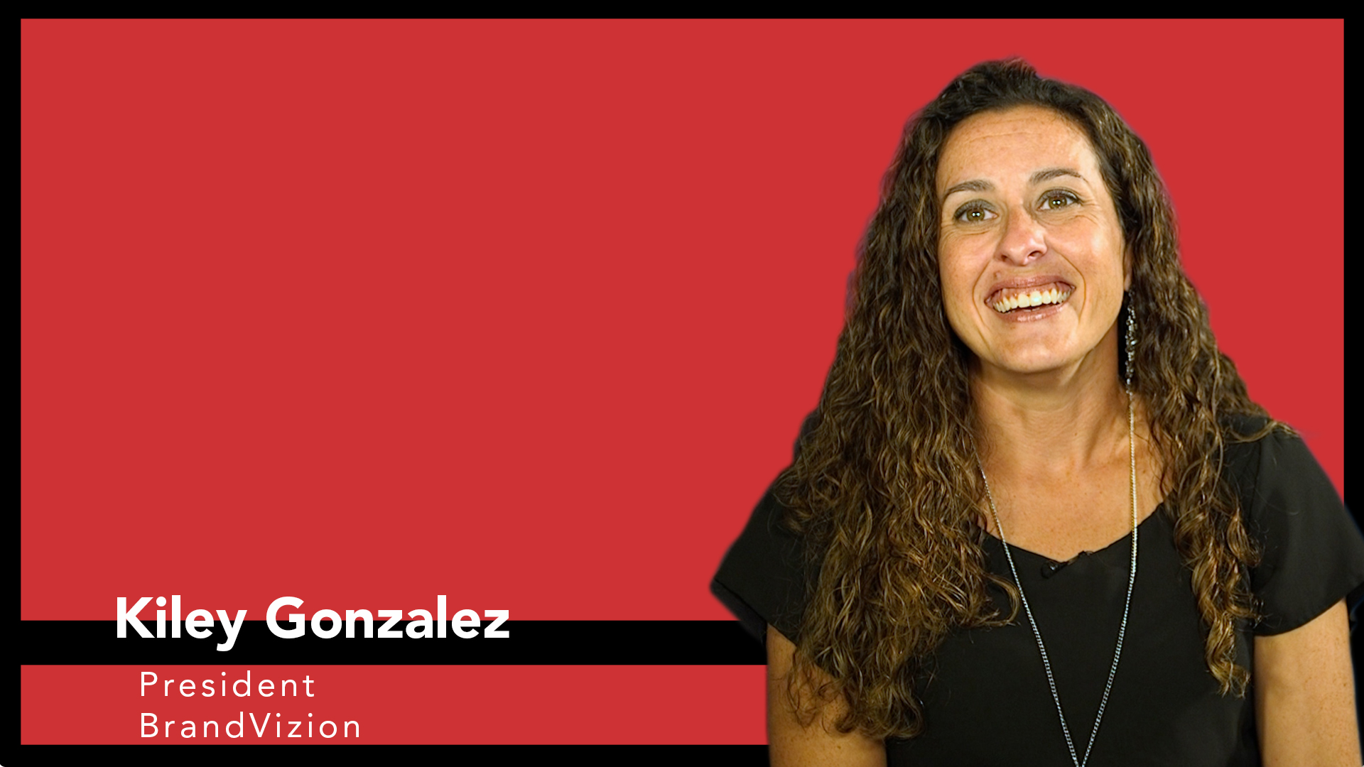 BrandVizion Makes Customers Visible