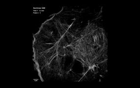 imaging SIM