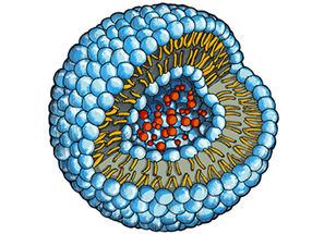 Soap bubbles for treating stenosed blood vessels