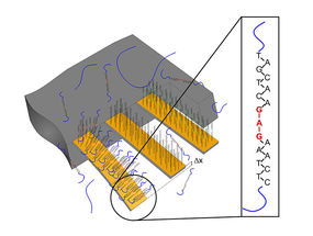 Nanotechnology supports treatment of malignant melanoma