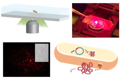 New sensors can detect single protein molecules