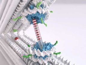 In the molecular bench vise