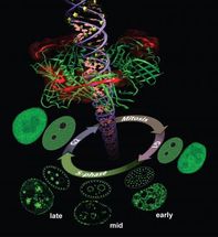More precise diagnostics for improved cancer outcomes