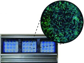 Advance furthers stem cells for use in drug discovery, cell therapy