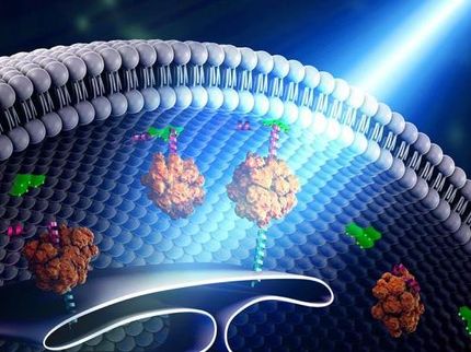 Building bridges within the cell - using light