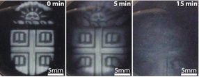 3-D-printed biomaterials that degrade on demand