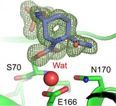 Key discoveries offer significant hope of reversing antibiotic resistance