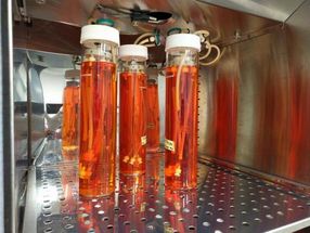 New tissue-engineered blood vessel replacements one step closer to human trials