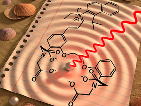 Visible signals from brain and heart