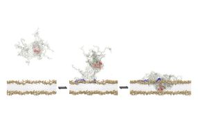 Toxic agents behind Parkinson's disease seen at work for the first time