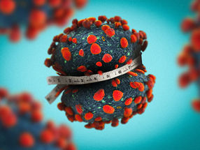 Obesity and biological sex may make individuals more vulnerable to COVID-19