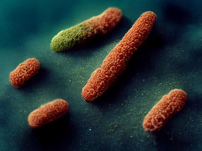 Bringing custom microbes to the business of recycling plastic
