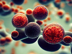 Rejuvenate old stem cells