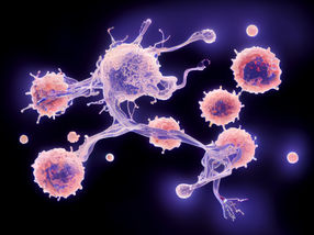 Sugar molecules as a target in cancer therapy