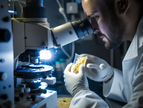 Scientists find inorganic food additives might make babies more vulnerable to allergies