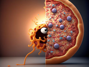 Starvation causes cell remodelling