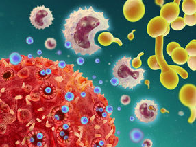 Holes in T cells