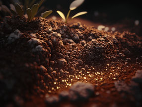 Soil bacteria as biocatalysts