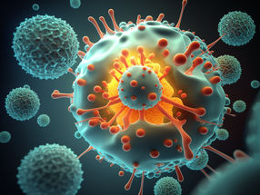 Immune cells have a backup mechanism