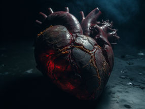 How and why do our organs age?