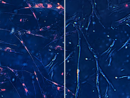 Integrated Biosciences