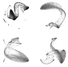 MPI of Molecular Physiology