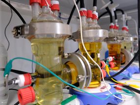 Microbes powered by electricity
