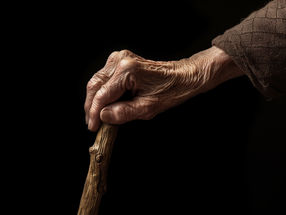 Progesterone’s protective potential against Parkinson’s