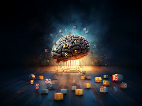 How the brain processes numbers