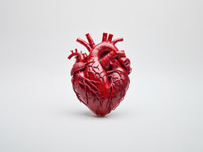 When the heart loses its nerves