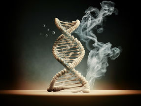 Genetic evidence shows that smoking can cause us to age faster