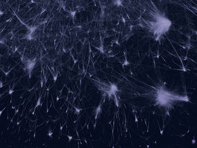 Artificial Intelligence tools shed light on millions of proteins