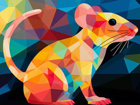 Genetically modifying individual cells in animals