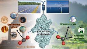 Capturing CO2 with electricity: A microbial enzyme inspires electrochemistry